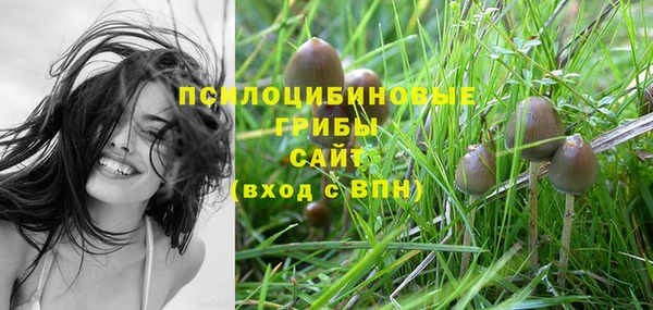кокаин колумбия Алзамай