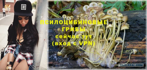 jwh Протвино