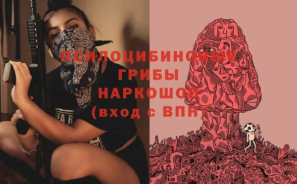 стафф Абинск