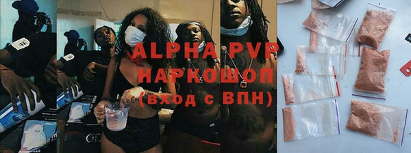 шишки Приозерск